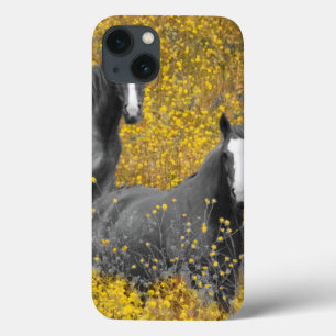 Funda Para iPhone 13 Mostaza y caballos