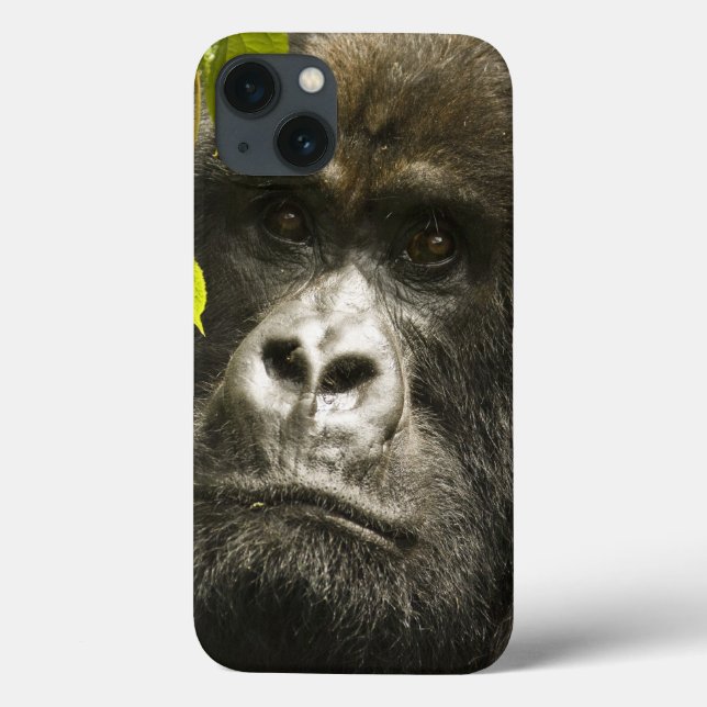 Funda De Case-Mate Para iPhone Mountain Gorilla, Gorilla beringei beringei, (Reverso)