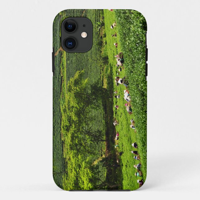 Funda De Case-Mate Para iPhone Mujeres cosechando té (Reverso)