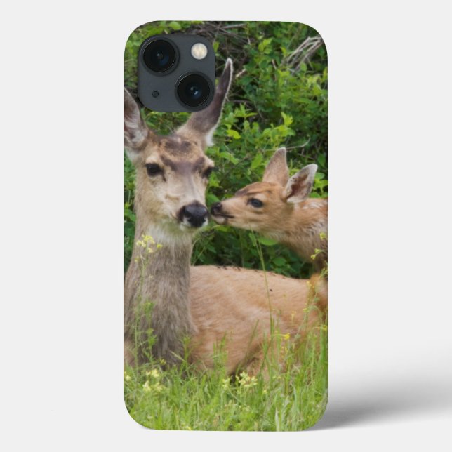 Funda De Case-Mate Para iPhone Mule Deer Doe con Fawn 2 (Reverso)