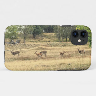 Funda Para iPhone 11 Mule Deer en un campo, Joseph, Oregón