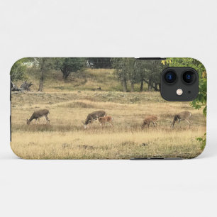 Funda Para iPhone 11 Mule Deer en un campo, Joseph, Oregón
