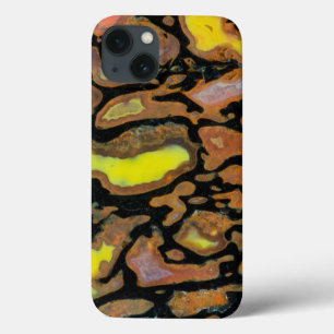 Funda Para iPhone 13 Multi Colored Dinosaur Bone