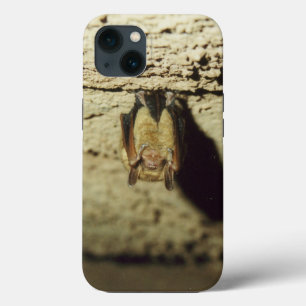 Funda Para iPhone 13 Murciélago
