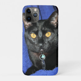 Funda Para iPhone 11 Pro Murphy