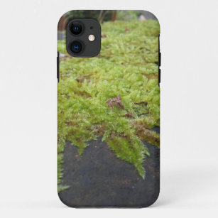 Funda Para iPhone 11 musgo verde en la naturaleza Detalle de piedra rec
