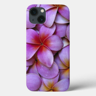 Funda Para iPhone 13 N.A., EE. UU., Maui, Hawái. Flores de plumeria ros