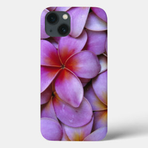 Funda Para iPhone 13 N.A., EE. UU., Maui, Hawái. Flores de Plumeria ros