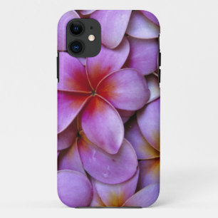Funda Para iPhone 11 N.A., EE. UU., Maui, Hawái. Flores de plumeria ros