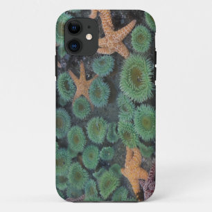 Funda Para iPhone 11 N.A., EE. UU., Washington, Parque Nacional Olímpic