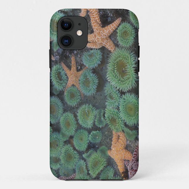 Funda De Case-Mate Para iPhone N.A., EE. UU., Washington, Parque Nacional Olímpic (Reverso)