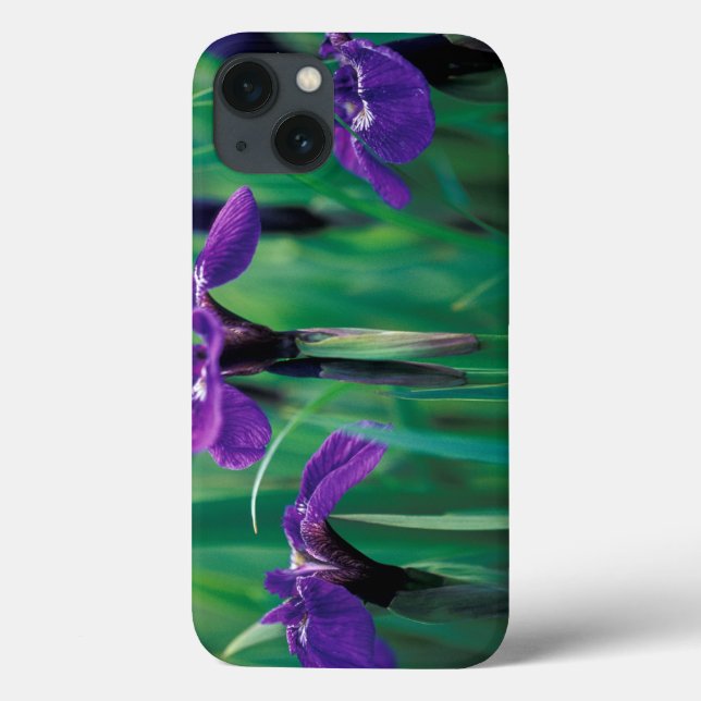 Funda De Case-Mate Para iPhone NA, EE.UU., Alaska, Isla Knight, Iris Wild (Reverso)