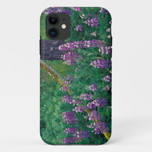 Funda Para iPhone 11 NA, EE. UU., Alaska, Islas Aleutianas, Unalaska,