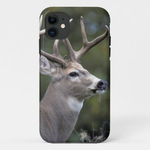 Funda Para iPhone 11 NA, EE. UU., Estado de Washington, ciervo de cola