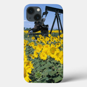 title_seo2 Na, Estados Unidos, Colorado, Sunflowers, Oil Derr