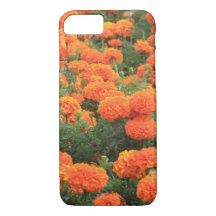 Naranja bonito Marigolds