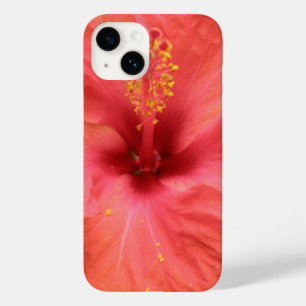 title_seo2 Naranja Hibiscus Flower Macro