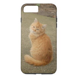 Funda Para iPhone 8 Plus/7 Plus Naranja Kitten Photo