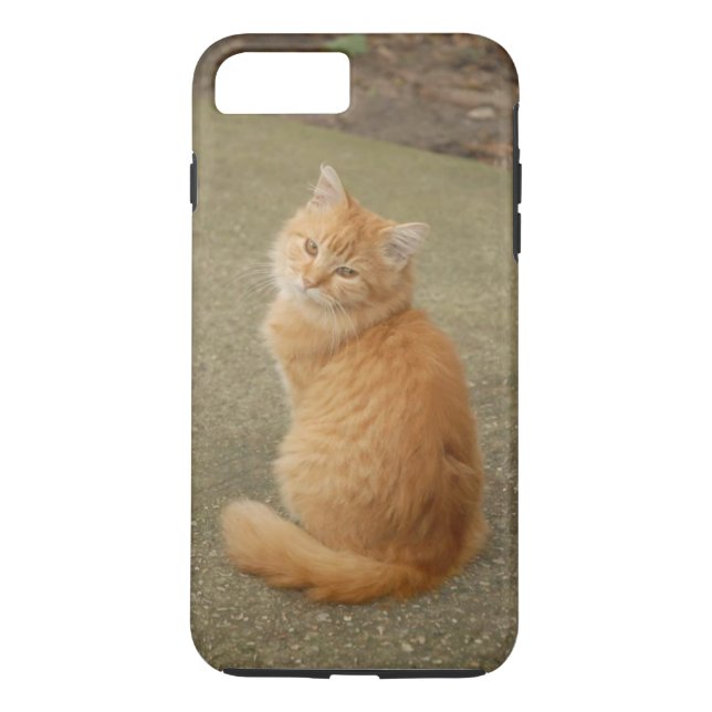 Funda De Case-Mate Para iPhone Naranja Kitten Photo (Reverso)