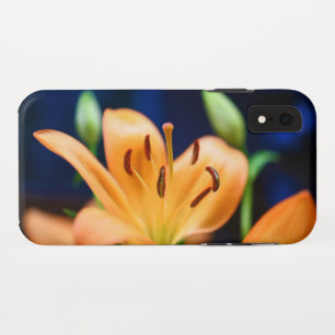 Funda Para iPhone XR Naranja Lilly Flower Blossom