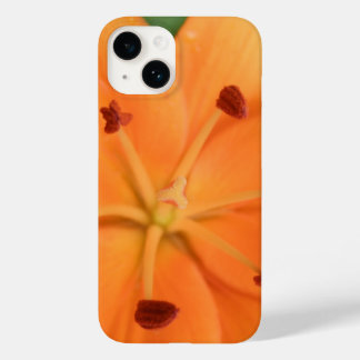 title_seo2 Naranja Lily Floral