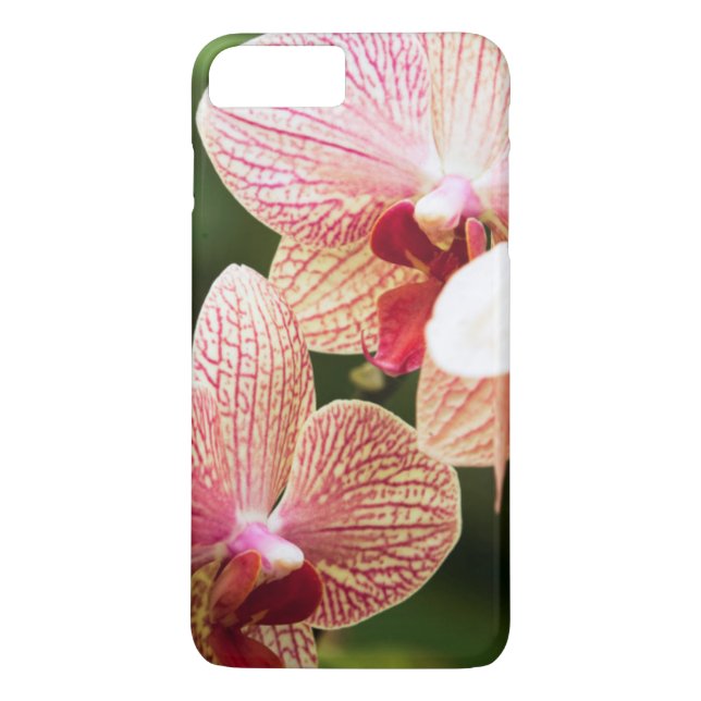 Funda De Case-Mate Para iPhone Naranja Orquídea Híbrida, Sudáfrica (Reverso)