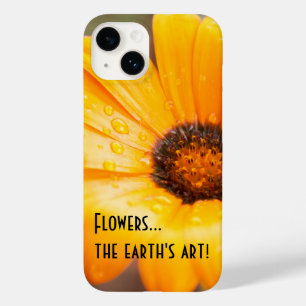 title_seo2 Naranja Primavera Flash African Daisy Photograph