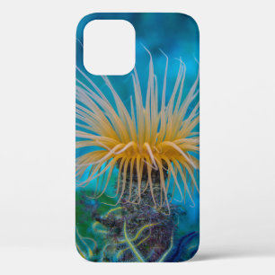 Funda Para iPhone 12 Naranja Sea Anemone Acuático Ocean Life