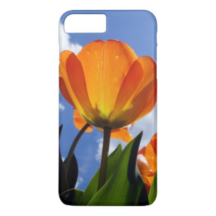 Funda Para iPhone 8 Plus/7 Plus Naranja Tulip, cielo azul