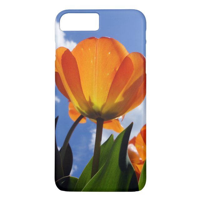 Funda De Case-Mate Para iPhone Naranja Tulip, cielo azul (Reverso)