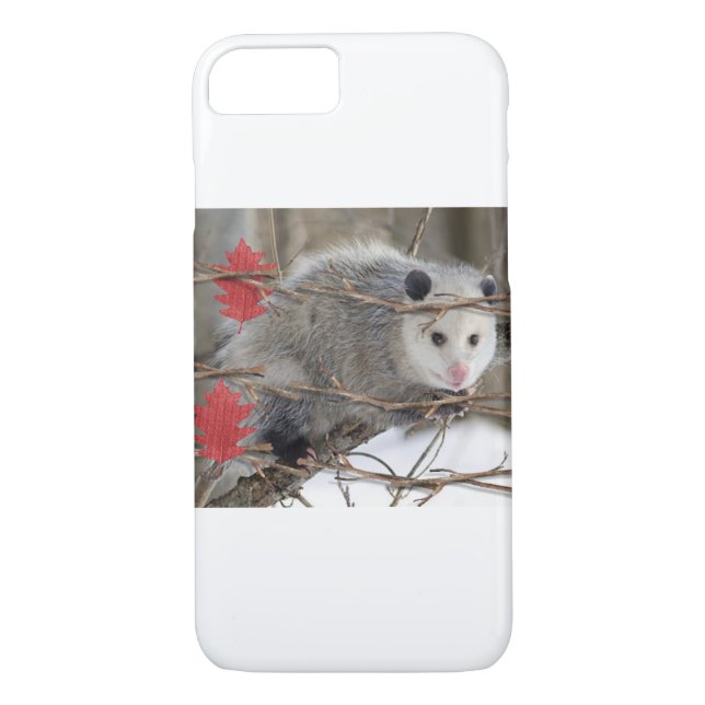 Funda De Case-Mate Para iPhone Naturaleza de Opossum de los casos IPhone (Reverso)