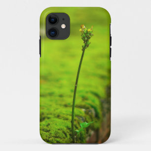 Funda Para iPhone 11 Naturaleza verde - Nuevo estuche para iPhone de vi