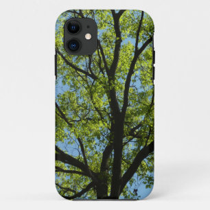 Funda Para iPhone 11 Naturaleza vibrante del roble de primavera