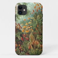 Naturaleza vintage Art. 5