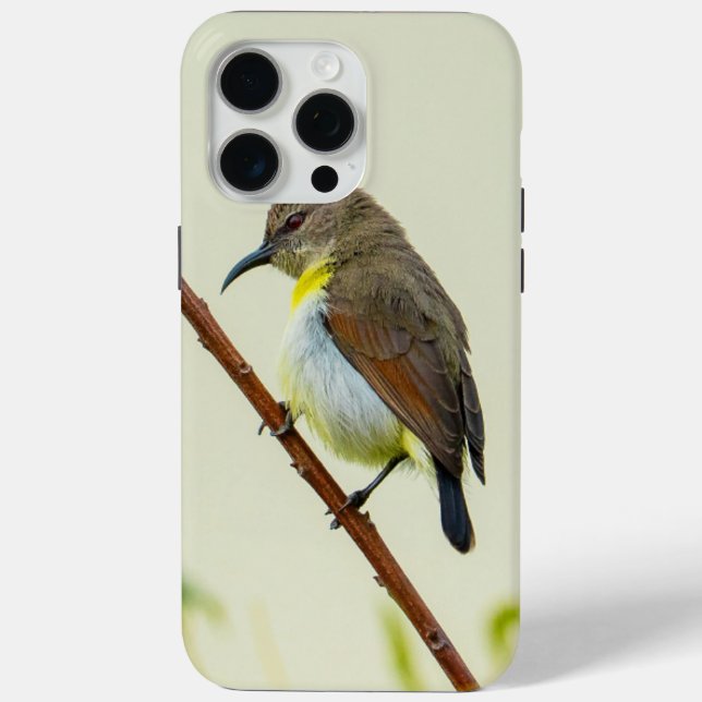 Funda De Case-Mate Para iPhone Nature Bird Phone Case (Reverso )