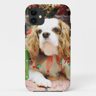 title_seo2 Navidad - perro de aguas de rey Charles arrogante