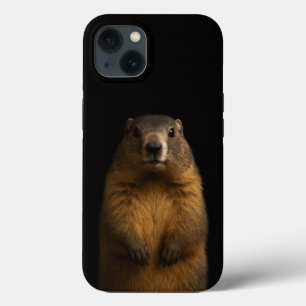 Funda Para iPhone 13 Negro 4 Luxe iPhone 13, Marmota Esponjosa