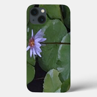 title_seo2 Nenúfar