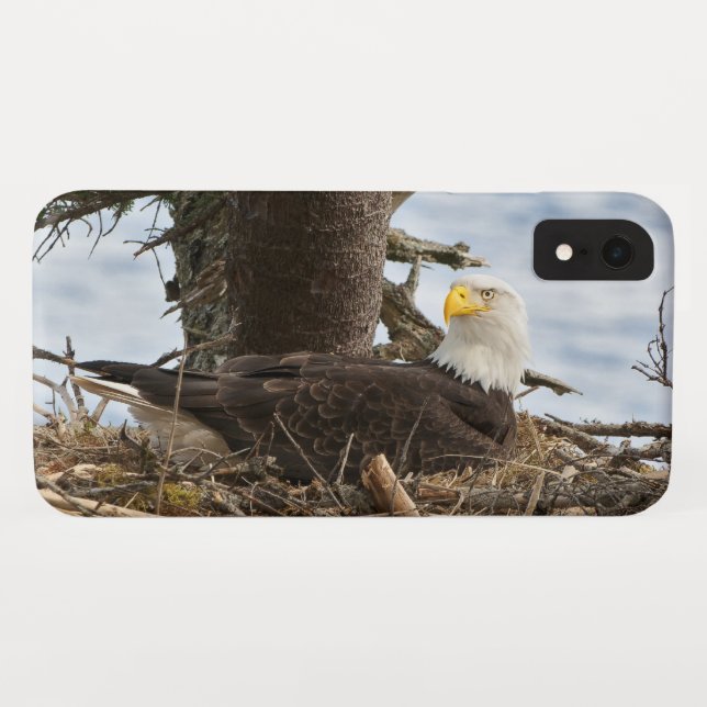 Funda De Case-Mate Para iPhone Nesting Bald Eagle (Reverso (horizontal))