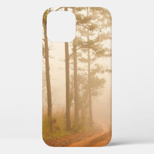 Funda Para iPhone 12 Niebla en bosque de pinos, hermoso, negro, oscuro,