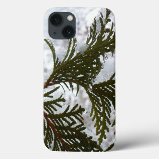 Funda Para iPhone 13 Nieve en ramas verdes
