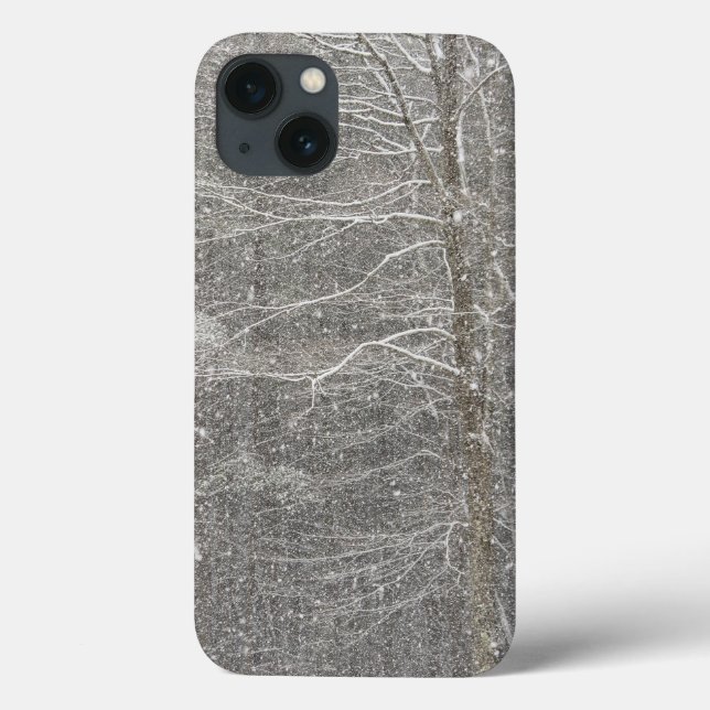 Funda De Case-Mate Para iPhone Nieve que cae (Reverso)