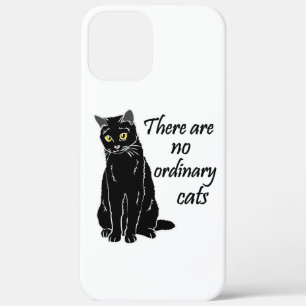 title_seo2 No Hay Gatos Ordinarios