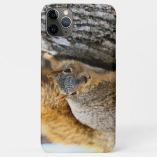 Funda Para iPhone 11 Pro Max ¿No vienes?