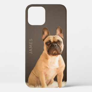 Funda Para iPhone 12 Nombre personalizado del Bulldog francés   Perro