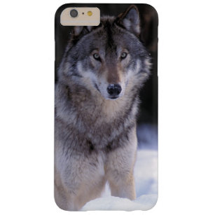Funda Barely There Para Phone 6 Plus Norteamérica, Canadá, Canadá del este, lobo gris