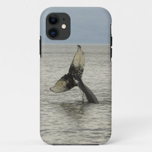 Funda Para iPhone 11 Norteamérica, EE. UU., AK, Paso Interior. Jorobada