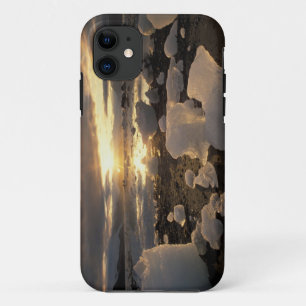 Funda Para iPhone 11 Norteamérica, EE. UU., Alaska, Bahía de Hielo, Pai