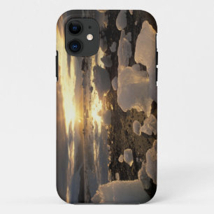 Funda Para iPhone 11 Norteamérica, EE. UU., Alaska, Bahía de Hielo, Pai