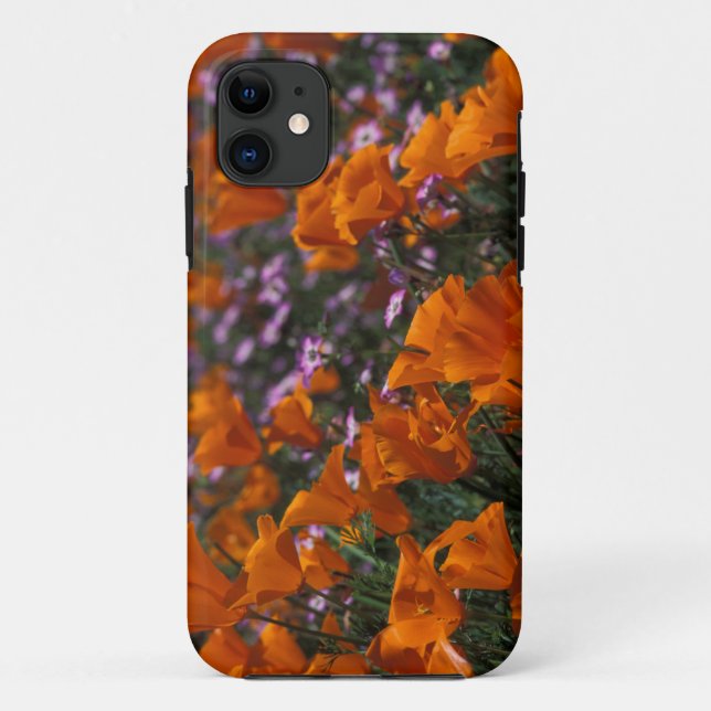 Funda De Case-Mate Para iPhone Norteamérica, EE. UU., California, Antelope Valley (Reverso)